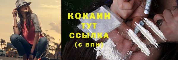 ПСИЛОЦИБИНОВЫЕ ГРИБЫ Абаза