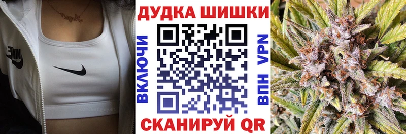 Бошки Шишки сатива  купить наркотик  Кириллов 